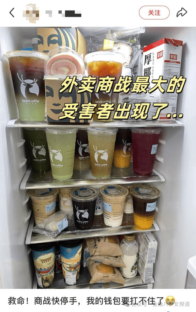 瘦身计划攻略app v1.1